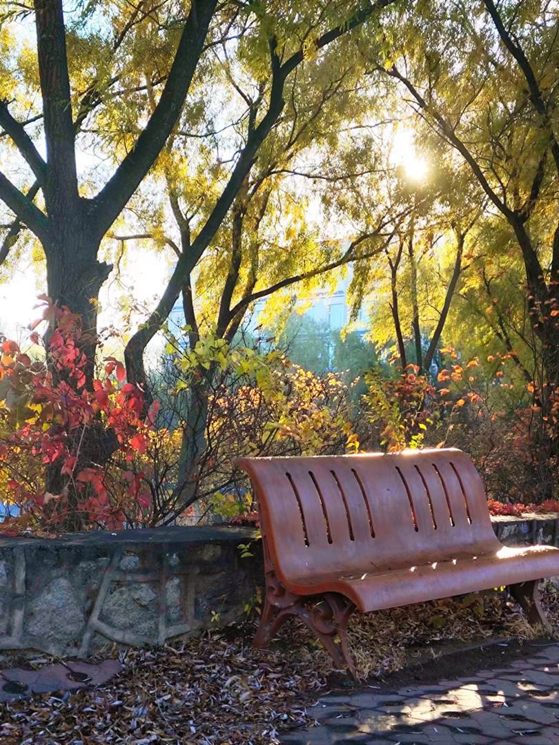 图示, 示意图

中度可信度描述已自动生成:ver1