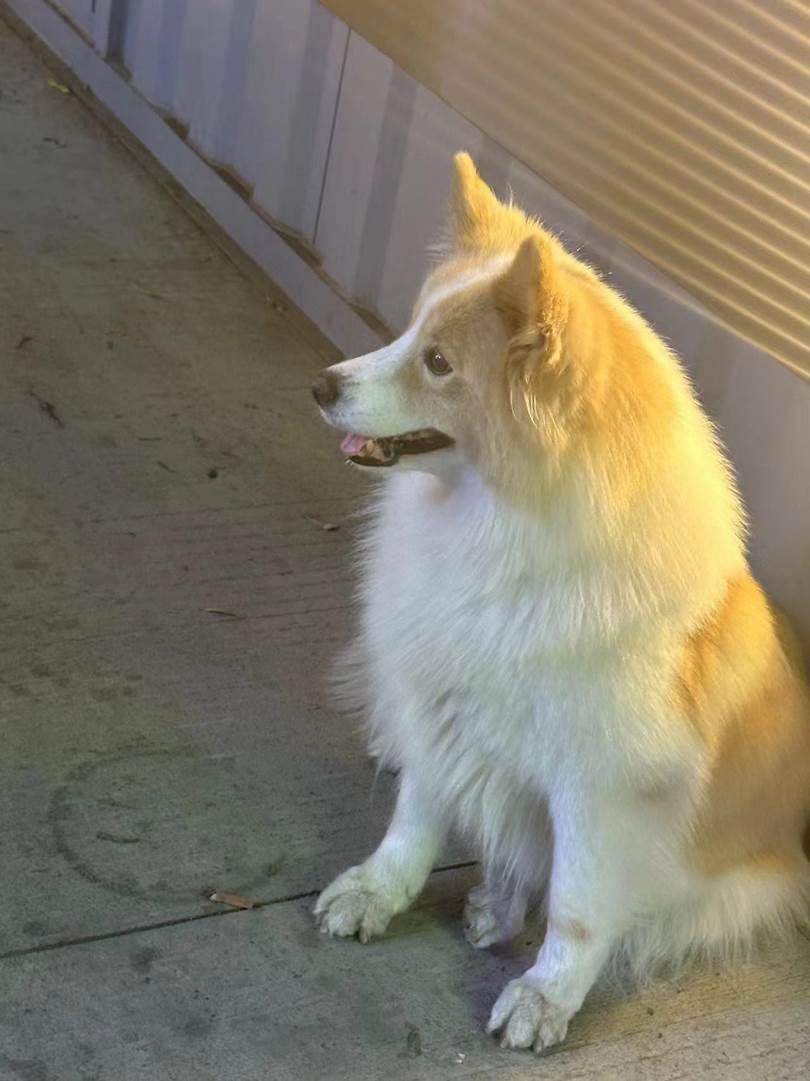 图示, 示意图

中度可信度描述已自动生成:ver1