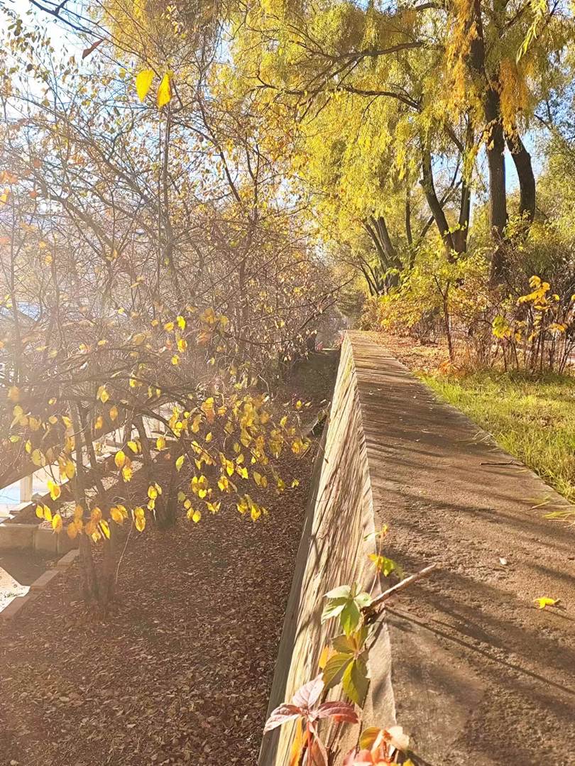 图示, 示意图

中度可信度描述已自动生成:ver1