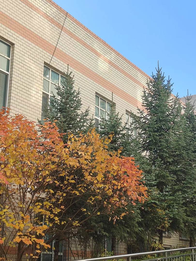 图示, 示意图

中度可信度描述已自动生成:ver1